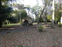 /album/galerie-photos/nod-005-jpg/